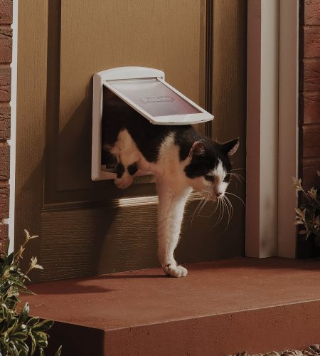 cat-and-dog-flap-door cat-and-dog-flap-door